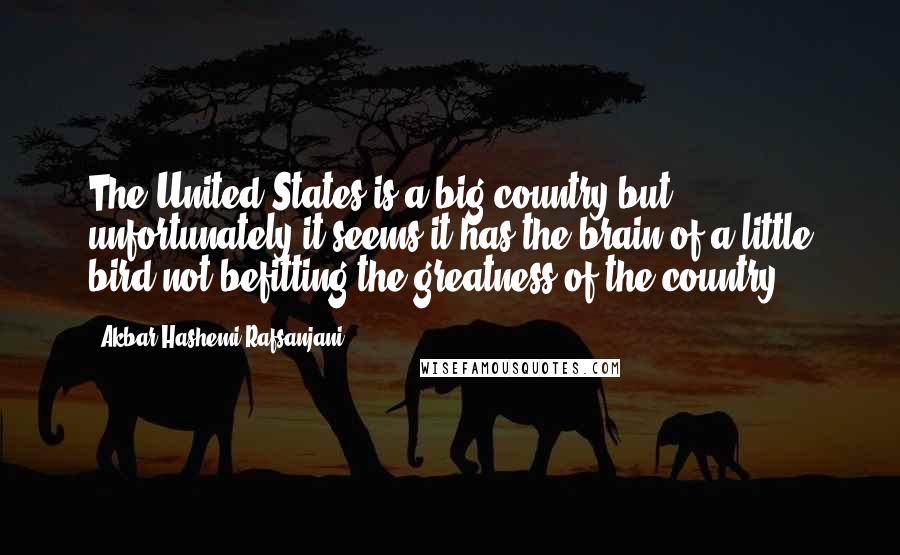 Akbar Hashemi Rafsanjani Quotes: The United States is a big country but unfortunately it seems it has the brain of a little bird not befitting the greatness of the country.