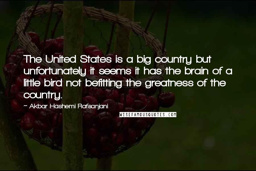 Akbar Hashemi Rafsanjani Quotes: The United States is a big country but unfortunately it seems it has the brain of a little bird not befitting the greatness of the country.