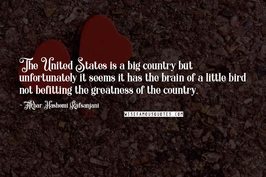 Akbar Hashemi Rafsanjani Quotes: The United States is a big country but unfortunately it seems it has the brain of a little bird not befitting the greatness of the country.