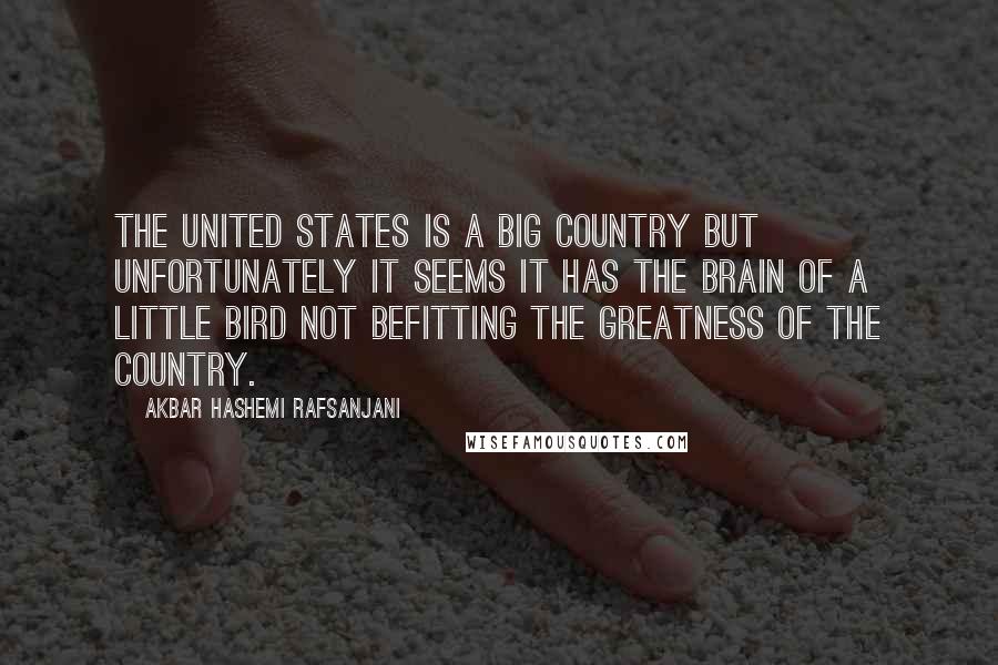 Akbar Hashemi Rafsanjani Quotes: The United States is a big country but unfortunately it seems it has the brain of a little bird not befitting the greatness of the country.