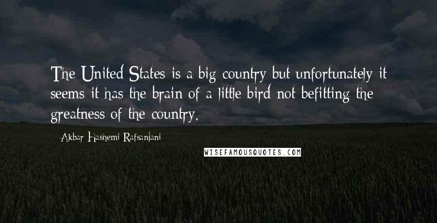 Akbar Hashemi Rafsanjani Quotes: The United States is a big country but unfortunately it seems it has the brain of a little bird not befitting the greatness of the country.