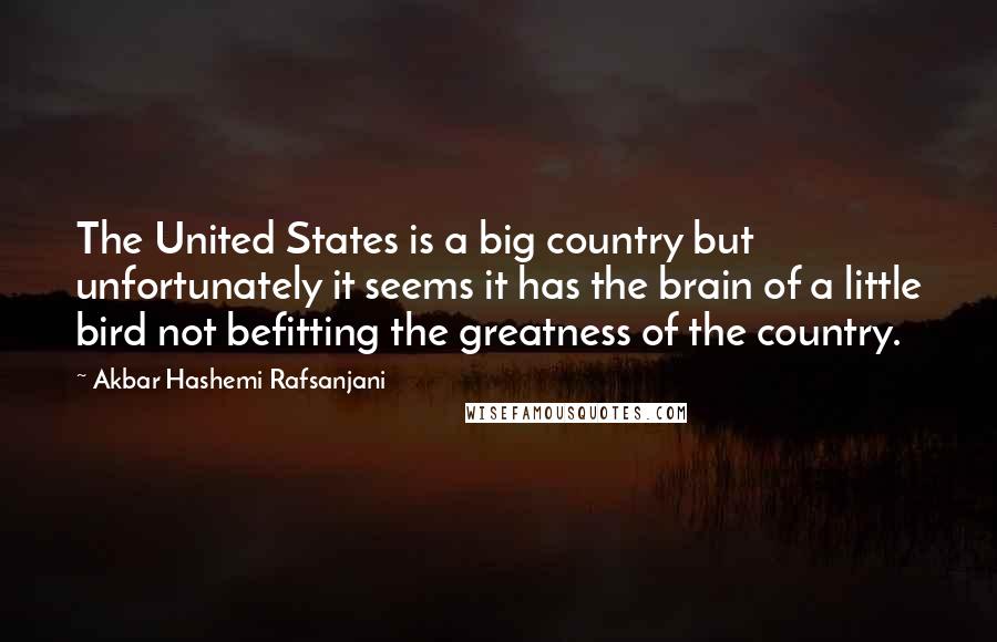 Akbar Hashemi Rafsanjani Quotes: The United States is a big country but unfortunately it seems it has the brain of a little bird not befitting the greatness of the country.