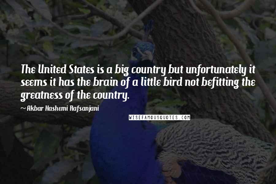 Akbar Hashemi Rafsanjani Quotes: The United States is a big country but unfortunately it seems it has the brain of a little bird not befitting the greatness of the country.