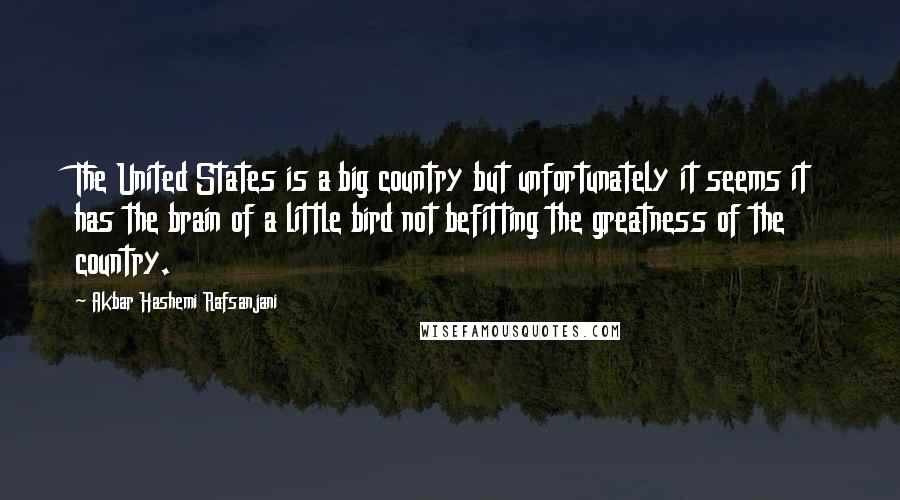 Akbar Hashemi Rafsanjani Quotes: The United States is a big country but unfortunately it seems it has the brain of a little bird not befitting the greatness of the country.