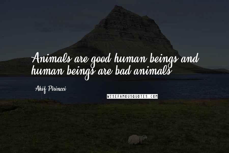 Akif Pirincci Quotes: Animals are good human beings and human beings are bad animals