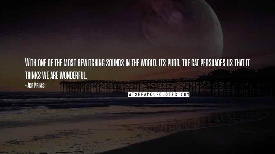 Akif Pirincci Quotes: With one of the most bewitching sounds in the world, its purr, the cat persuades us that it thinks we are wonderful.