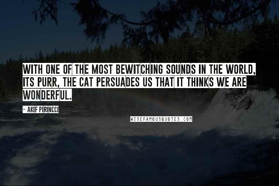 Akif Pirincci Quotes: With one of the most bewitching sounds in the world, its purr, the cat persuades us that it thinks we are wonderful.