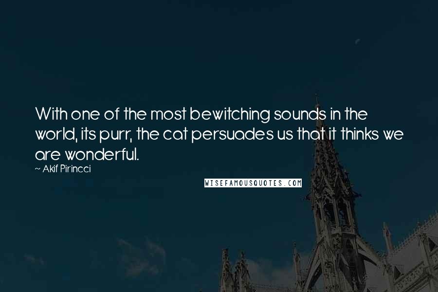 Akif Pirincci Quotes: With one of the most bewitching sounds in the world, its purr, the cat persuades us that it thinks we are wonderful.
