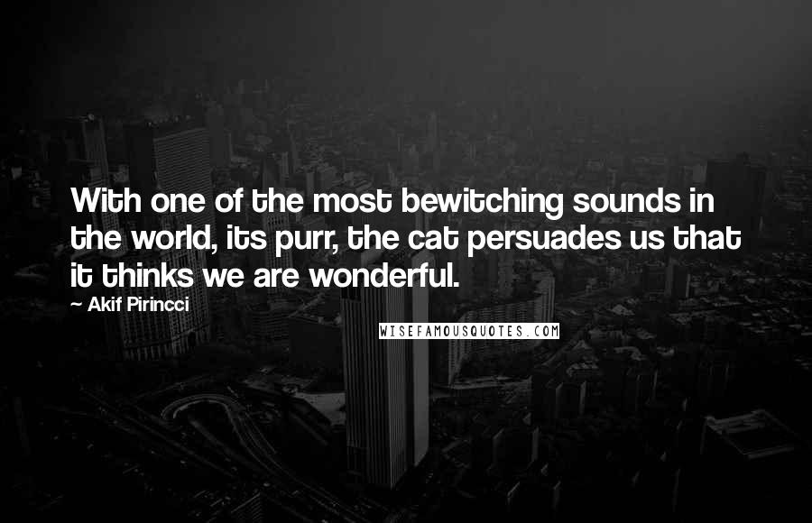 Akif Pirincci Quotes: With one of the most bewitching sounds in the world, its purr, the cat persuades us that it thinks we are wonderful.