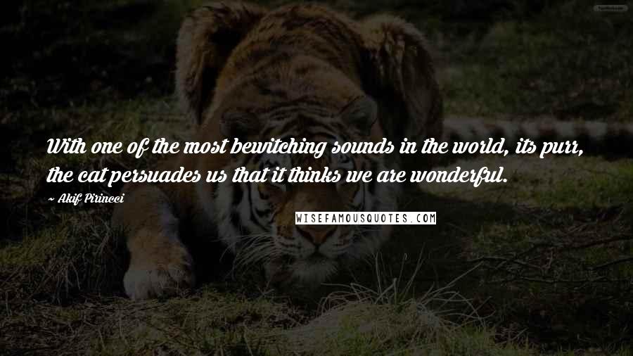 Akif Pirincci Quotes: With one of the most bewitching sounds in the world, its purr, the cat persuades us that it thinks we are wonderful.