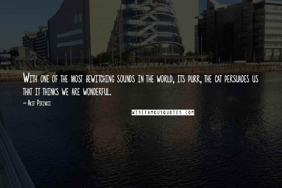 Akif Pirincci Quotes: With one of the most bewitching sounds in the world, its purr, the cat persuades us that it thinks we are wonderful.