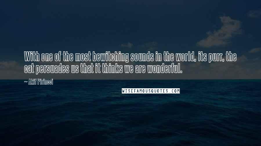 Akif Pirincci Quotes: With one of the most bewitching sounds in the world, its purr, the cat persuades us that it thinks we are wonderful.