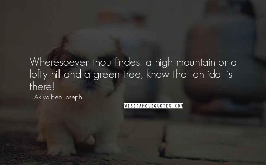 Akiva Ben Joseph Quotes: Wheresoever thou findest a high mountain or a lofty hill and a green tree, know that an idol is there!