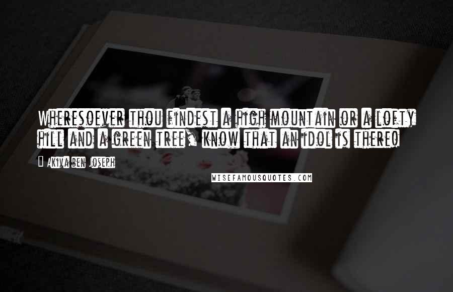 Akiva Ben Joseph Quotes: Wheresoever thou findest a high mountain or a lofty hill and a green tree, know that an idol is there!