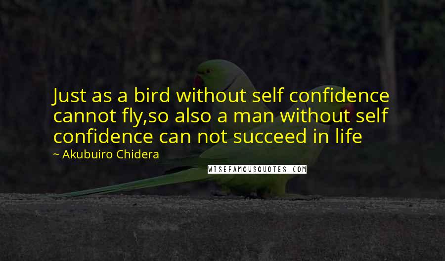 Akubuiro Chidera Quotes: Just as a bird without self confidence cannot fly,so also a man without self confidence can not succeed in life