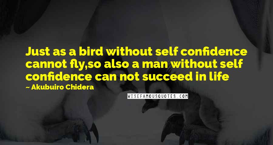 Akubuiro Chidera Quotes: Just as a bird without self confidence cannot fly,so also a man without self confidence can not succeed in life