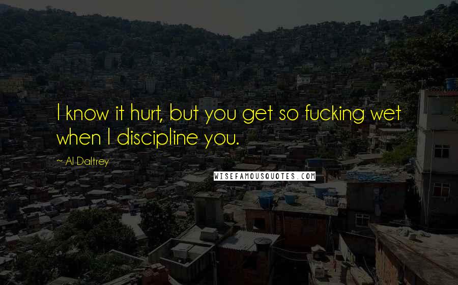 Al Daltrey Quotes: I know it hurt, but you get so fucking wet when I discipline you.