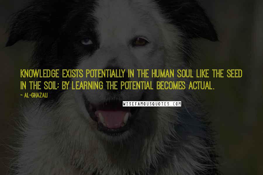 Al-Ghazali Quotes: Knowledge exists potentially in the human soul like the seed in the soil; by learning the potential becomes actual.