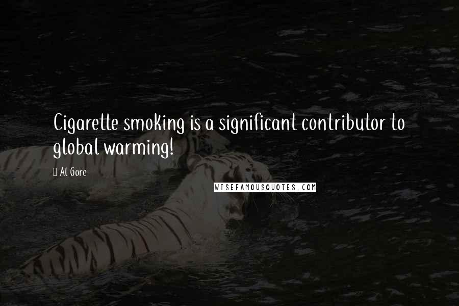 Al Gore Quotes: Cigarette smoking is a significant contributor to global warming!