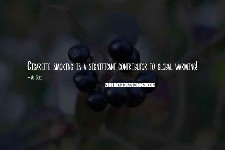 Al Gore Quotes: Cigarette smoking is a significant contributor to global warming!