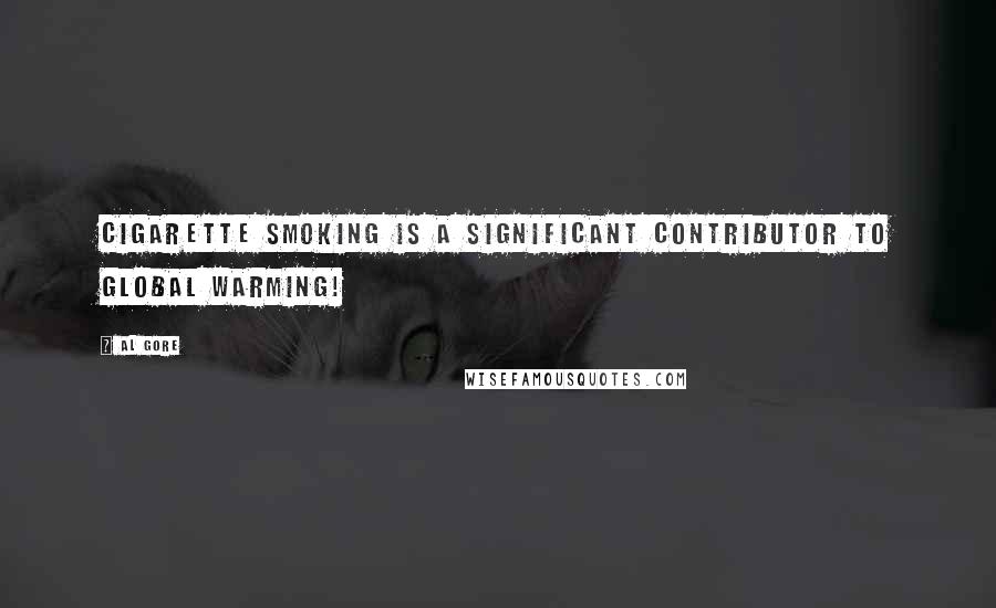 Al Gore Quotes: Cigarette smoking is a significant contributor to global warming!