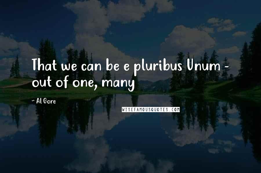 Al Gore Quotes: That we can be e pluribus Unum - out of one, many