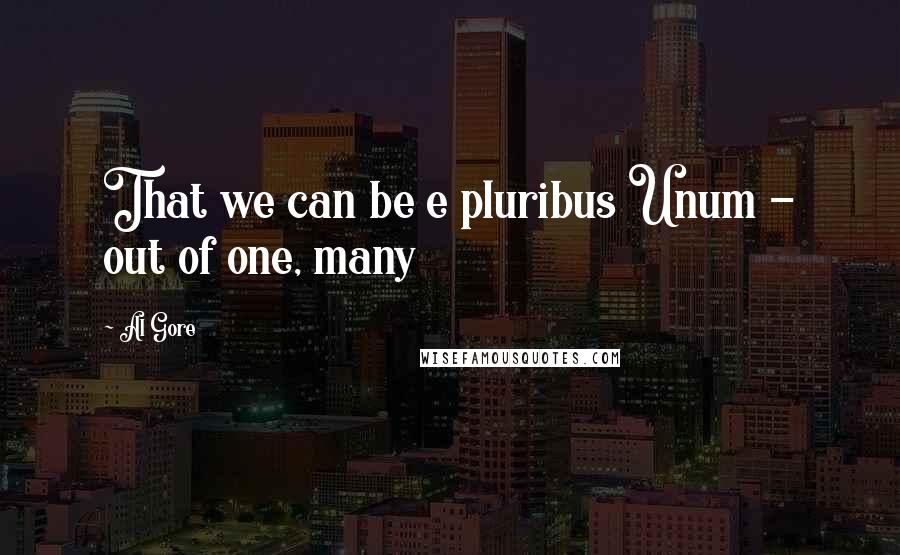 Al Gore Quotes: That we can be e pluribus Unum - out of one, many