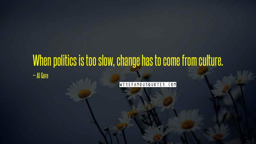 Al Gore Quotes: When politics is too slow, change has to come from culture.