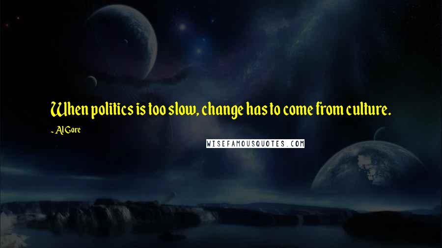 Al Gore Quotes: When politics is too slow, change has to come from culture.