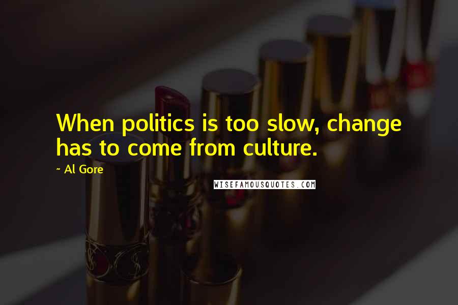 Al Gore Quotes: When politics is too slow, change has to come from culture.