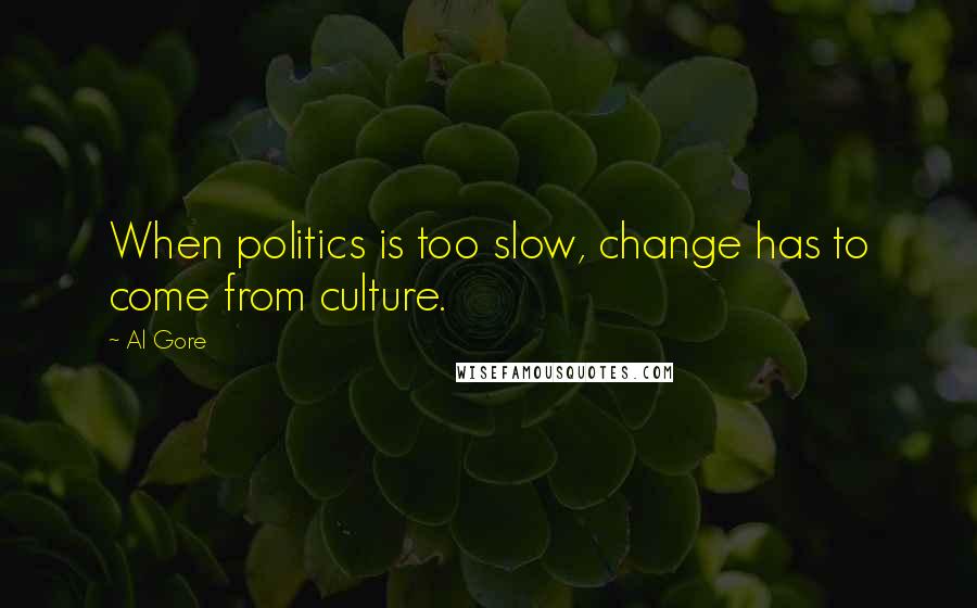 Al Gore Quotes: When politics is too slow, change has to come from culture.