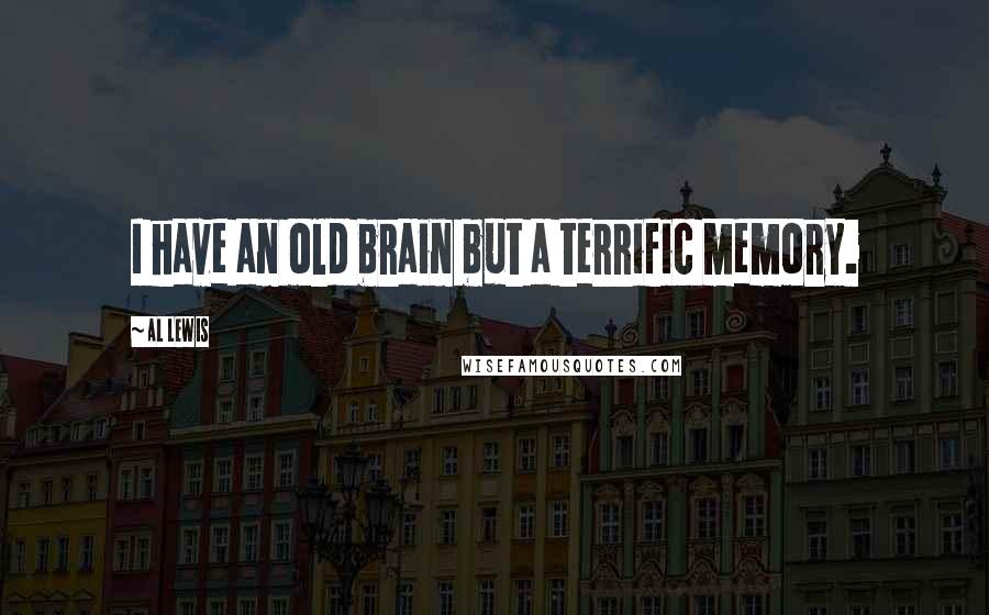 Al Lewis Quotes: I have an old brain but a terrific memory.