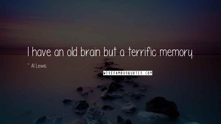 Al Lewis Quotes: I have an old brain but a terrific memory.
