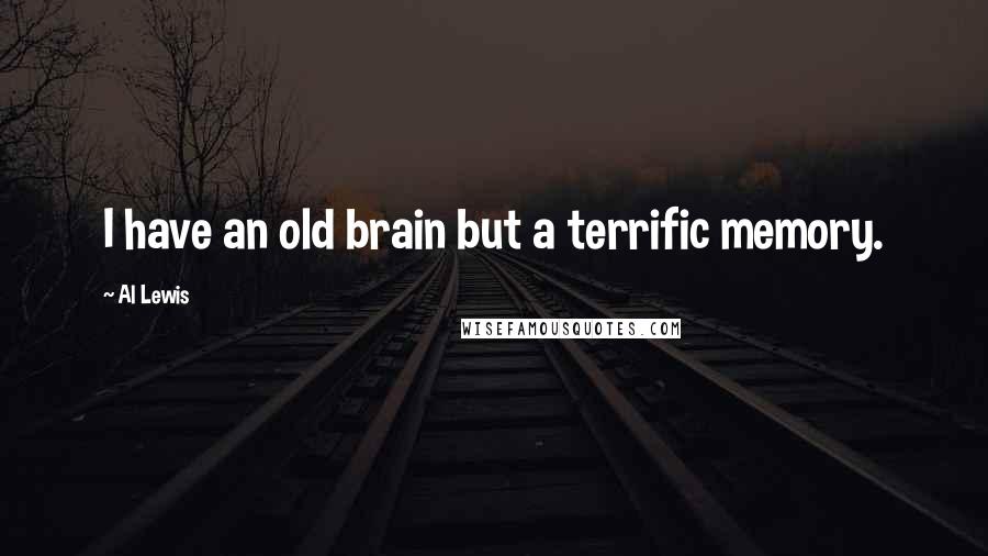 Al Lewis Quotes: I have an old brain but a terrific memory.