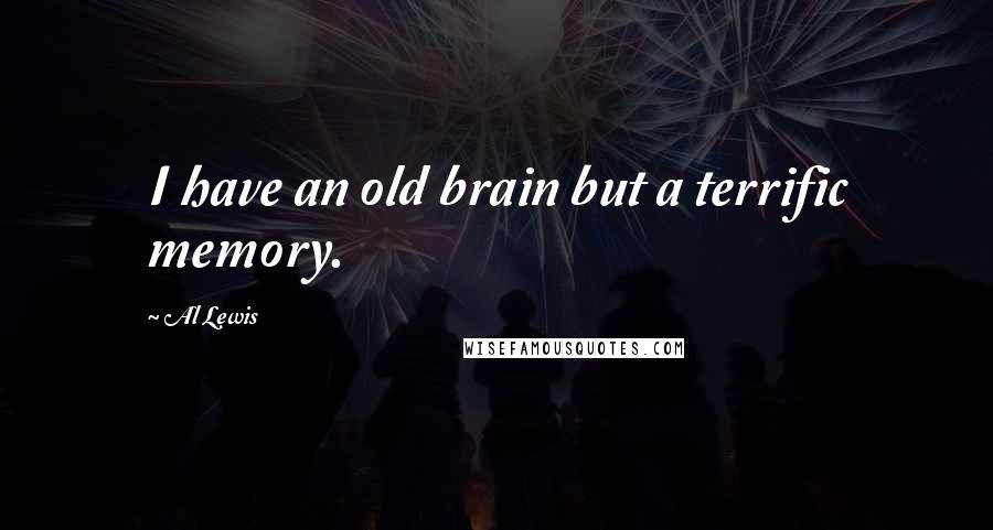 Al Lewis Quotes: I have an old brain but a terrific memory.