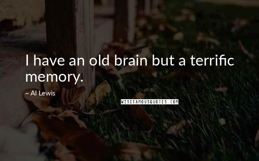 Al Lewis Quotes: I have an old brain but a terrific memory.