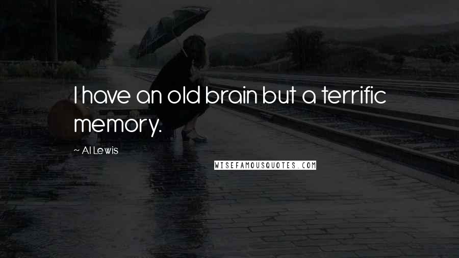Al Lewis Quotes: I have an old brain but a terrific memory.