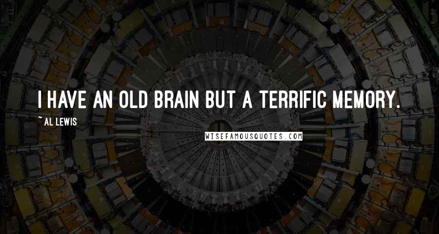 Al Lewis Quotes: I have an old brain but a terrific memory.