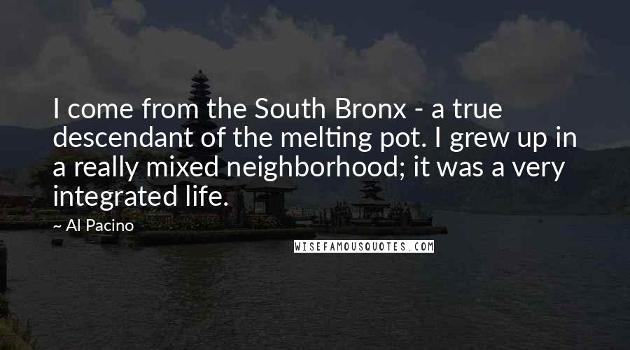 Al Pacino Quotes: I come from the South Bronx - a true descendant of the melting pot. I grew up in a really mixed neighborhood; it was a very integrated life.