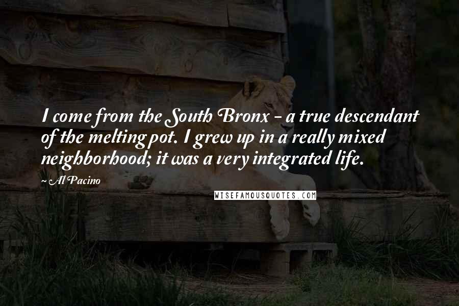 Al Pacino Quotes: I come from the South Bronx - a true descendant of the melting pot. I grew up in a really mixed neighborhood; it was a very integrated life.