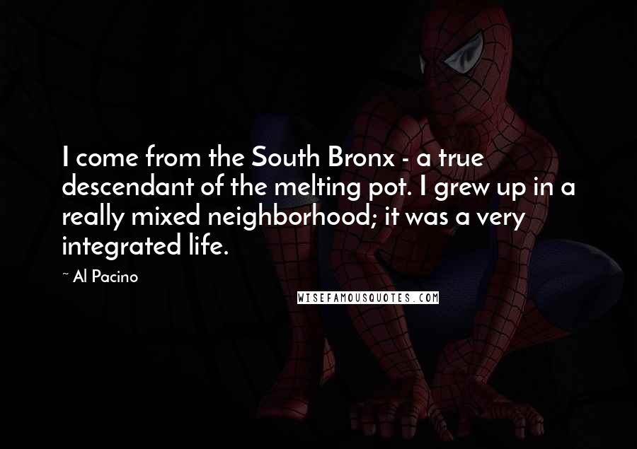 Al Pacino Quotes: I come from the South Bronx - a true descendant of the melting pot. I grew up in a really mixed neighborhood; it was a very integrated life.