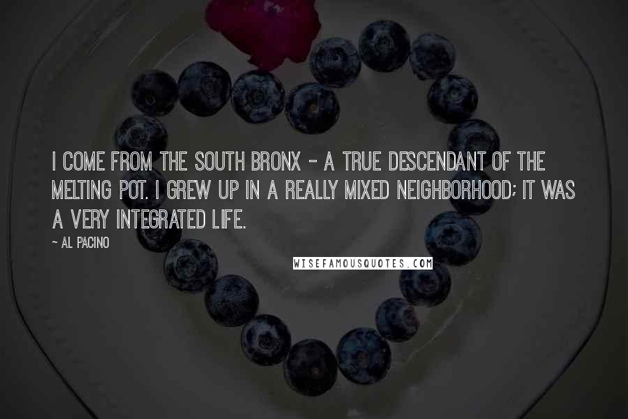 Al Pacino Quotes: I come from the South Bronx - a true descendant of the melting pot. I grew up in a really mixed neighborhood; it was a very integrated life.