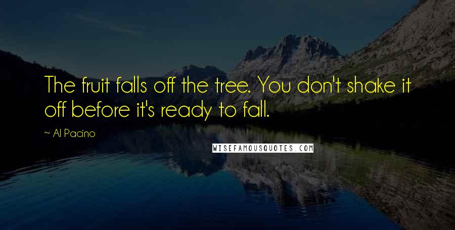 Al Pacino Quotes: The fruit falls off the tree. You don't shake it off before it's ready to fall.