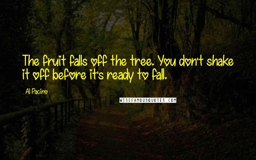 Al Pacino Quotes: The fruit falls off the tree. You don't shake it off before it's ready to fall.