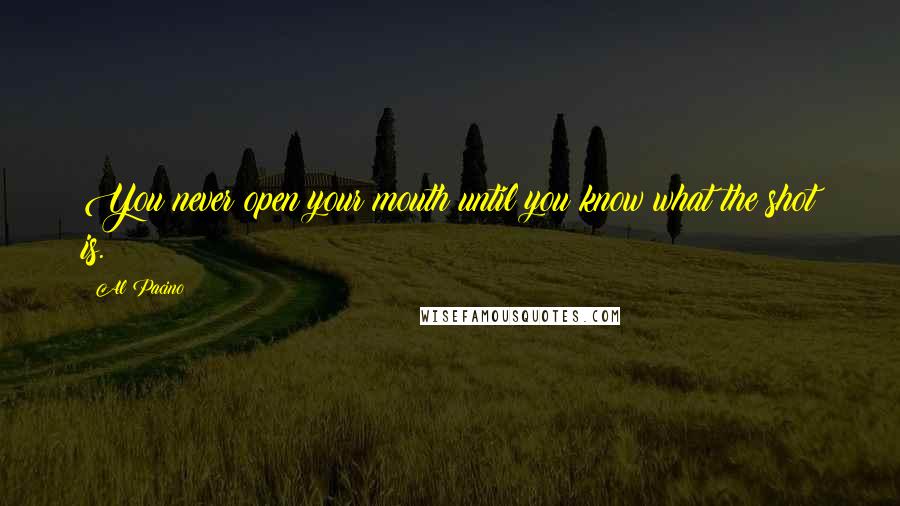 Al Pacino Quotes: You never open your mouth until you know what the shot is.