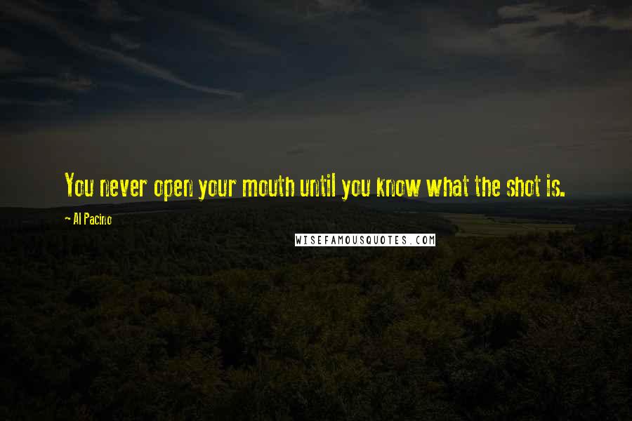 Al Pacino Quotes: You never open your mouth until you know what the shot is.