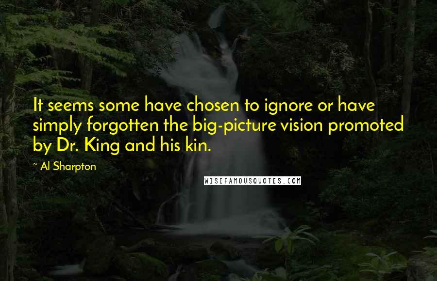 Al Sharpton Quotes: It seems some have chosen to ignore or have simply forgotten the big-picture vision promoted by Dr. King and his kin.