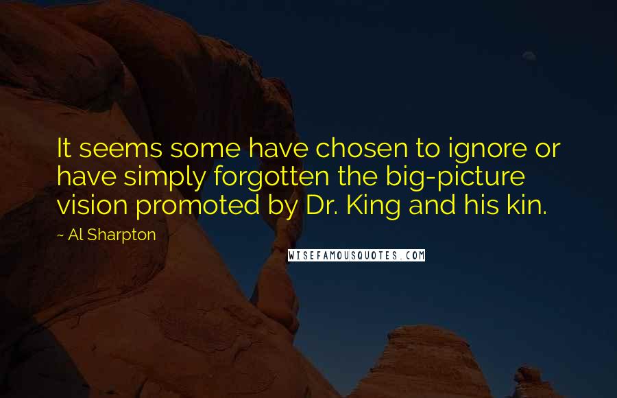 Al Sharpton Quotes: It seems some have chosen to ignore or have simply forgotten the big-picture vision promoted by Dr. King and his kin.