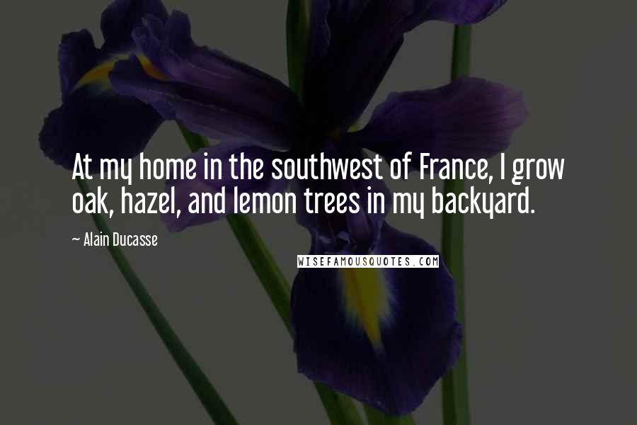 Alain Ducasse Quotes: At my home in the southwest of France, I grow oak, hazel, and lemon trees in my backyard.