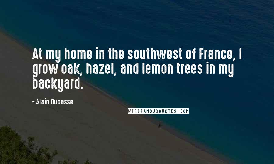 Alain Ducasse Quotes: At my home in the southwest of France, I grow oak, hazel, and lemon trees in my backyard.
